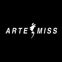 Arte-Miss logo - Similar company to Colegio Oficial De Médicos De Málaga