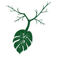 Messy Roots logo - Similar company to C C G