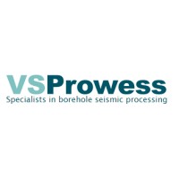 VSPROWESS LTD logo - Similar company to Eel