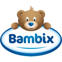 Bambix logo - Similar company to Babyboom