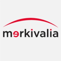 merkivalia logo - Similar company to Nat Barajas