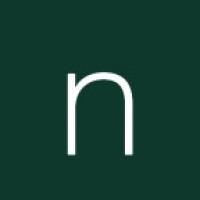 Nexus AI logo - Similar company to Nexus Ai Solutions