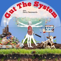 Gut The System logo - Similar company to Lazzarella
