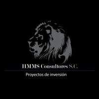 HMMS Consultores S.C. logo - Similar company to Banco Pérola