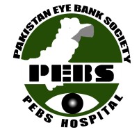 PEBS Hospital logo - Similar company to Exoexcellence