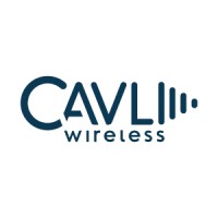 Cavli Wireless logo - Similar company to Blive