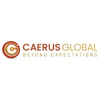 CAERUS GLOBAL PTY LTD logo - Similar company to Qinecsa - Formerly Commonwealth Informatics