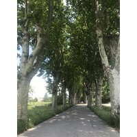 LES BALADES DE MARIE - Guide Conférencier logo - Similar company to Les Temps D'Art