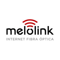 Melolink logo - Similar company to Connect Link Tech Sp