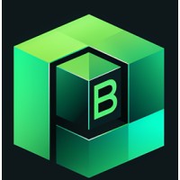 Bliss Consultants logo - Similar company to Markann Place