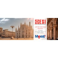 Meest Milano logo - Similar company to Meest Cargo