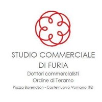 Studio Commerciale Dott. Di Furia logo - Similar company to Iptf - Innovation Procurement Task Force