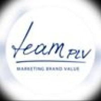 TEAM PLV logo - Similar company to Global Display - Plv