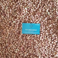 SJ International logo - Similar company to Bvk Technology Services