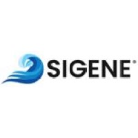 Sigene srl logo - Similar company to Studio Culicchia
