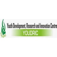 Youth Development, Research and Innovation Centre logo - Similar company to Business Improv®