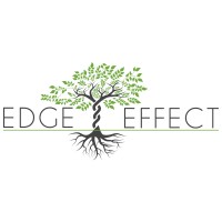 Edge Effect logo - Similar company to Edge Effects Ltd