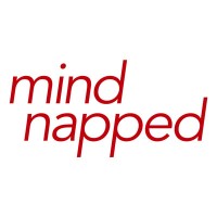 mindnapped GmbH logo - Similar company to Asb