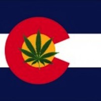 Marijuana Connections logo - Similar company to Contactlists.Com