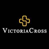 Victoria Cross India logo - Similar company to Ansun Multitech India Ltd.