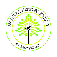 Natural History Society Of Maryland