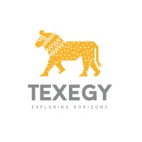 TEXEGY LLC logo - Similar company to Wolfpack Wholesale