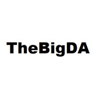 Thebigda Advising, Strategy & Execution