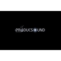 ProducSound logo - Similar company to Singletone Amplification