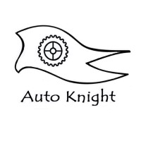 Shenzhen Auto Knight INTL Trading Co., Ltd logo - Similar company to Selm