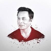 Team Elon Musk logo - Similar company to Elon Musk Connect