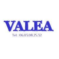 Valea logo - Similar company to Selectra Industrie