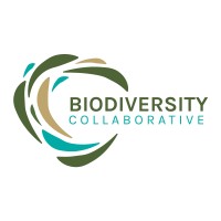 Biodiversity Collaborative logo - Similar company to The Shola Trust