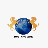 Mustang Link SMB logo - Similar company to Mega Vision