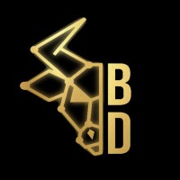 Bulls Digital logo - Similar company to Qualis Auri