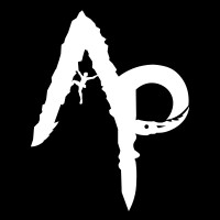 Apex Pioneer logo - Similar company to Tech Hire Solutions