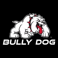 Bully Dog logo - Similar company to Derive Systems