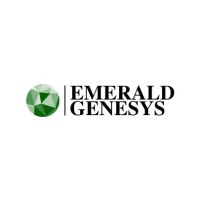 Emerald Genesys logo - Similar company to It Techcom