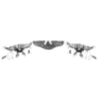 Wingtip To Wingtip Association