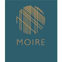 Moire logo - Similar company to Blu Mnky