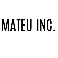 Mateu, Inc. Personal & Professional Consulting And Coaching