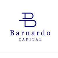 Barnardo Capital Limited logo - Similar company to Selection Mines Limited