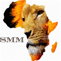 Social Media Marketing Africa Pty(Ltd) logo - Similar company to Cyber Ads
