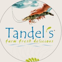 Tandel's logo - Similar company to Ishi Feeds Pvt Ltd