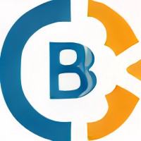 Bold Information Services logo - Similar company to I A M It Technologies Llc