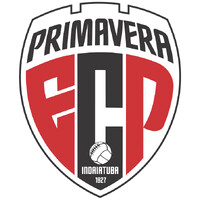 Primavera SAF logo - Similar company to Audit Plus