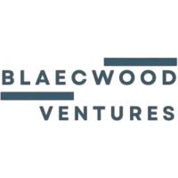 BlaecWood Ventures logo - Similar company to Hadeth Startup Studio