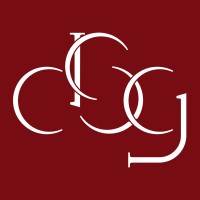 Development Sovereignty Group (DSG) logo - Similar company to Efoy Plus - Integrated Solutions