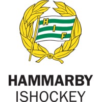 Hammarby Ishockey Förening logo - Similar company to Setpace Ab