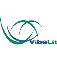 VibeLit - バイブリット logo - Similar company to Grinp