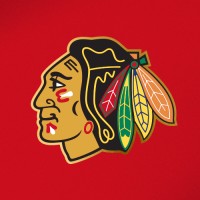 Chicago Blackhawks logo - Similar company to Chicago Bears